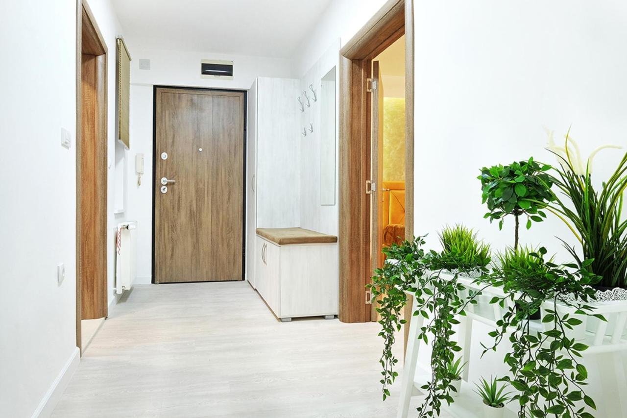Apartment Paradise Sunshine ベオグラード エクステリア 写真